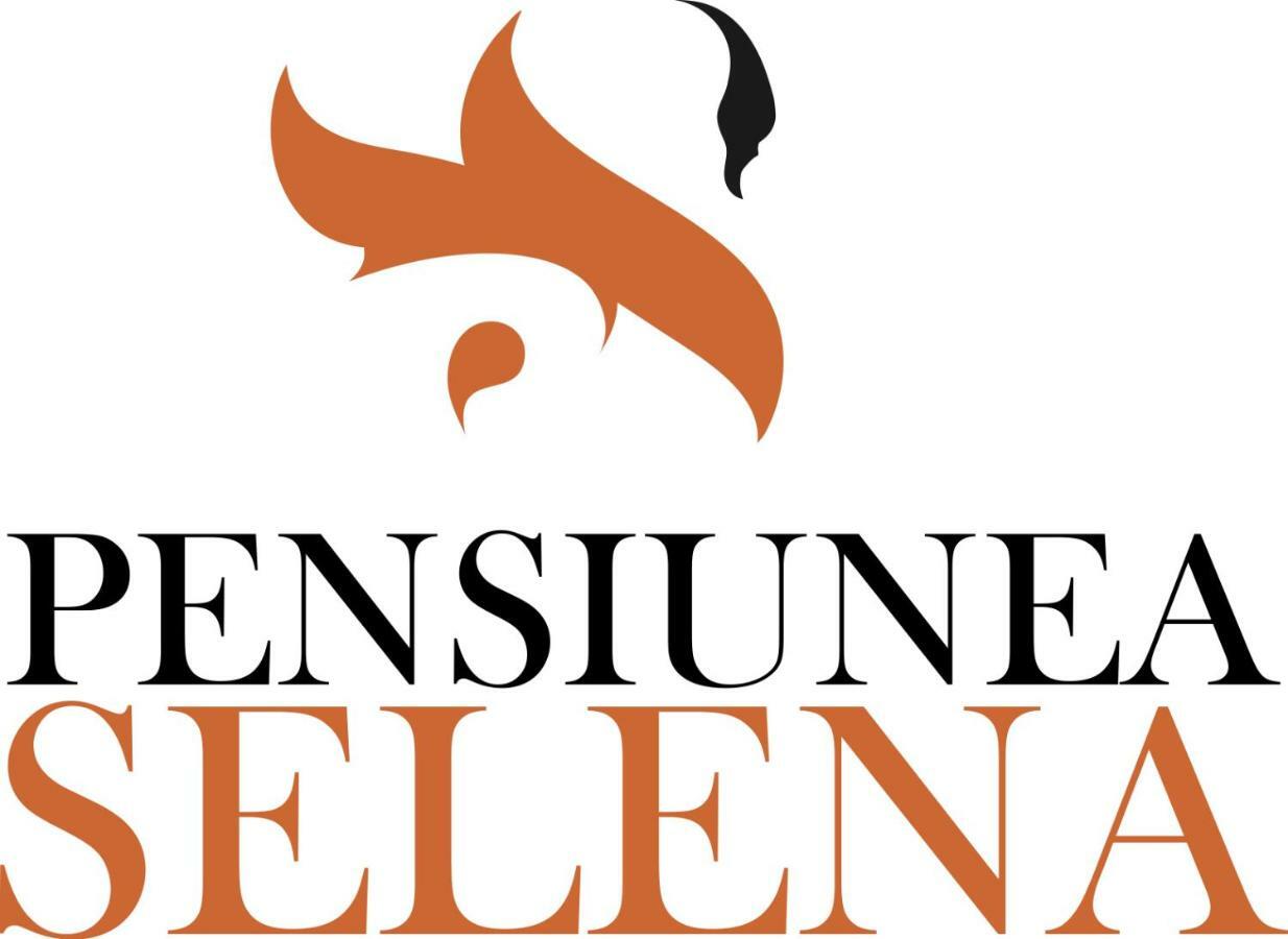 Pensiunea Selena Vişeu de Sus Esterno foto